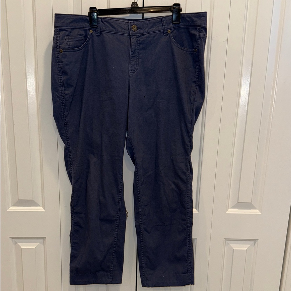 Ruff Hewn Navy Blue pants